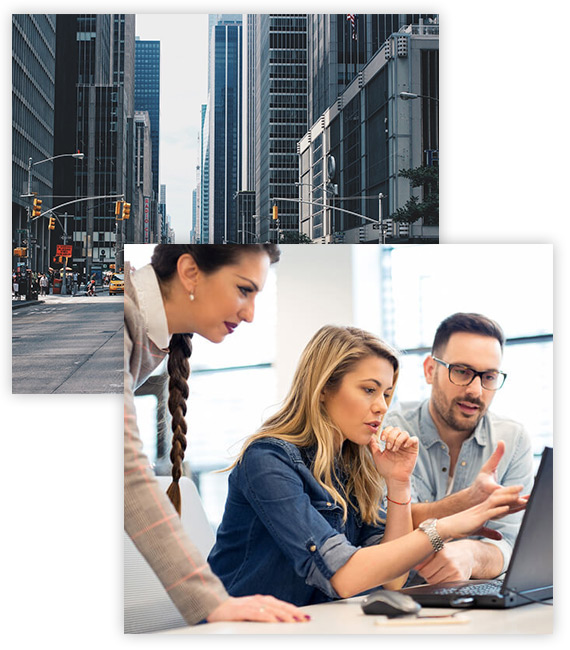 About Genesis Systems